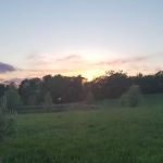 Bradley Investments LLC