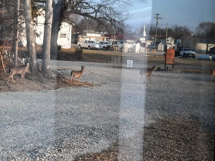 Deer Rest Campground Picture 2