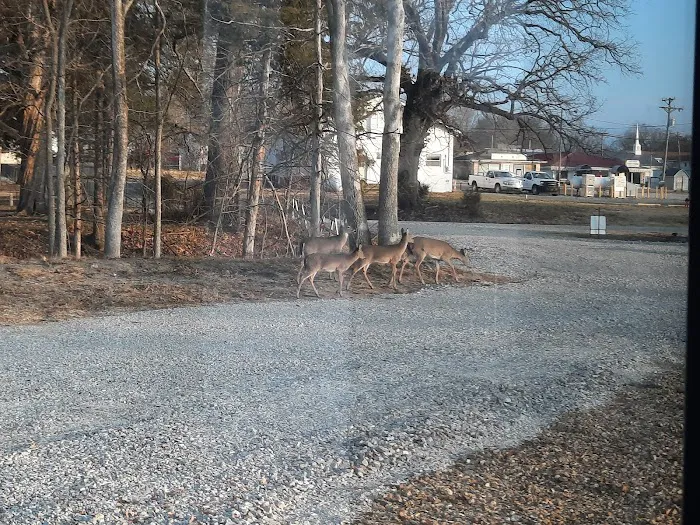 Deer Rest Campground Picture 7