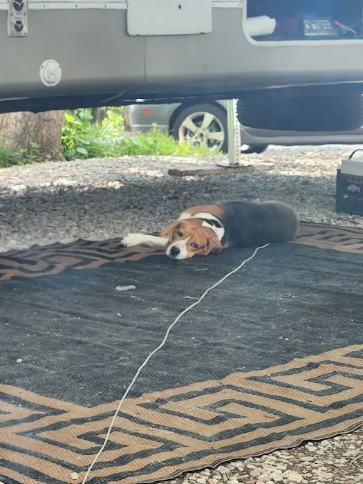 Osage Bluff Campground Picture 2