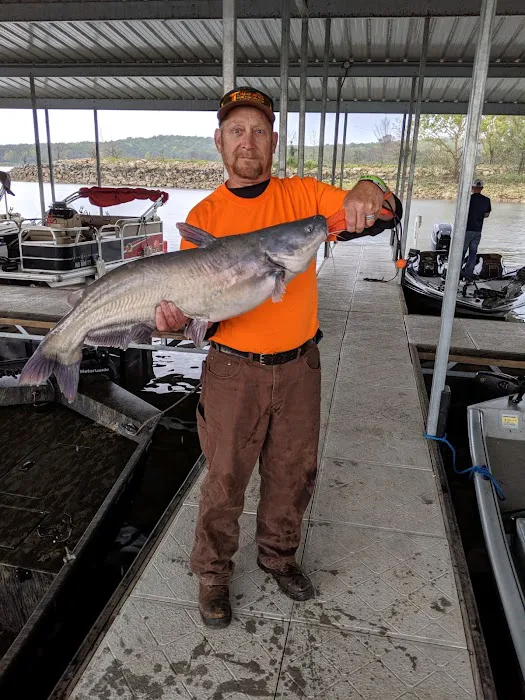 Osage Bluff Campground Picture 3