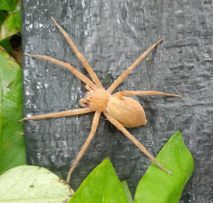 Raven Winds Campground Picture 5