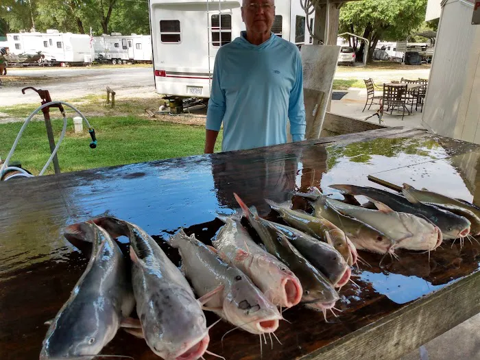 Pecan Grove Campground & RV Park Picture 4