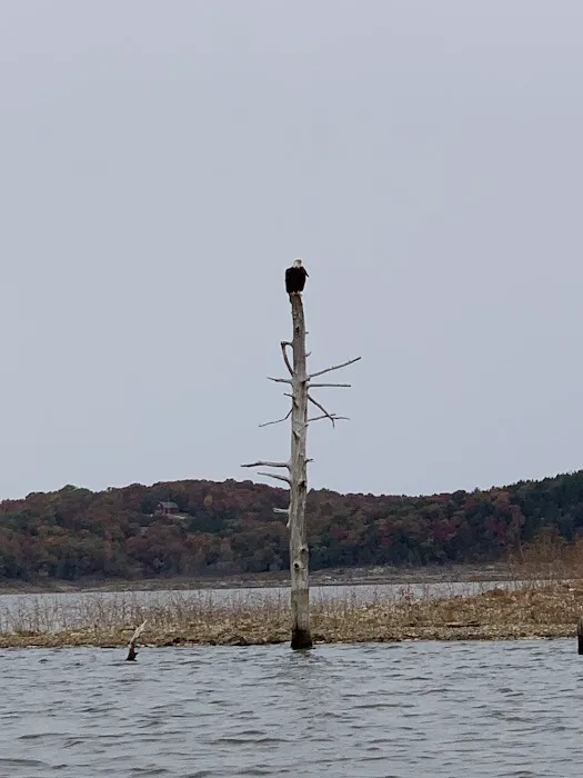 Devil's Backbone Campground Picture 1
