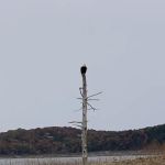 Devil's Backbone Campground