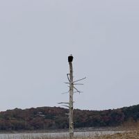 Devil's Backbone Campground ico