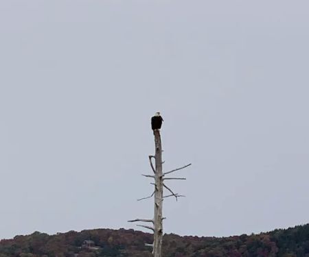 Devil's Backbone Campground