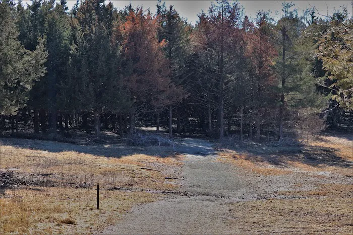 Devil's Backbone Campground Picture 4