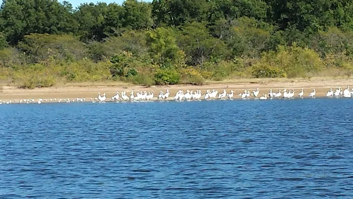 Devil's Backbone Campground Picture 7