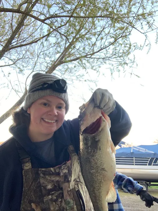 Rocky Top RV Park Picture 2