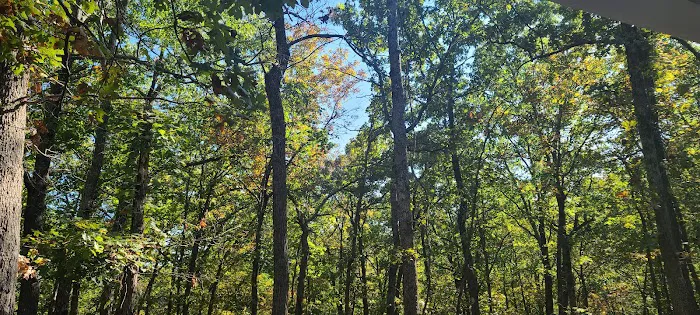 Buck Ridge Campground Picture 2