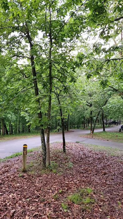 Buck Ridge Campground Picture 6