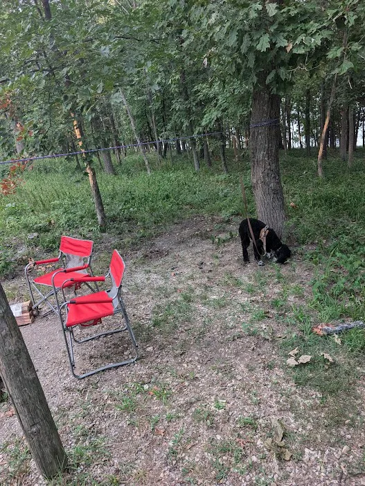 Wild Turkey Ridge Campground Picture 1