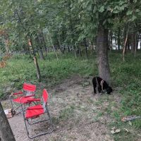 Wild Turkey Ridge Campground ico