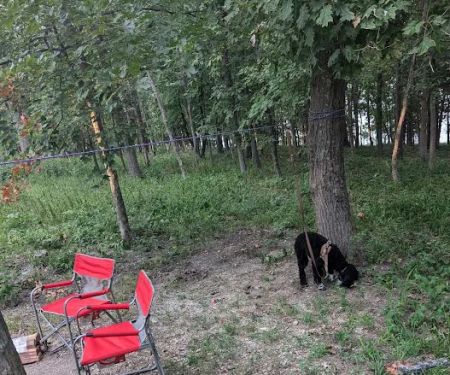 Wild Turkey Ridge Campground