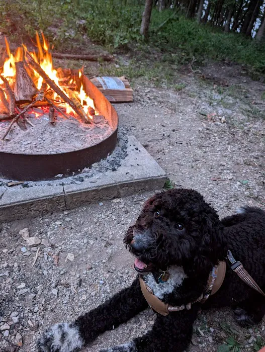 Wild Turkey Ridge Campground Picture 3