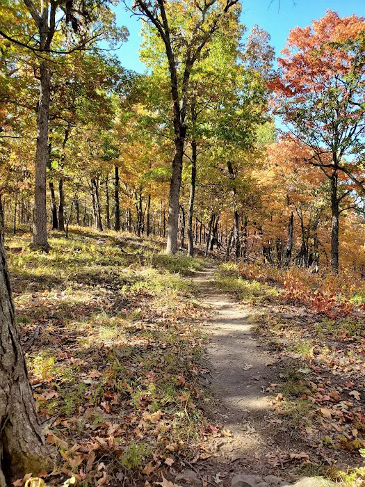 Raccoon Ridge Campground Picture 9