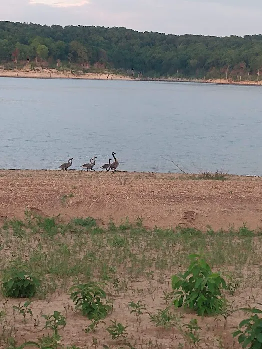 Long Shoal Campground Picture 4