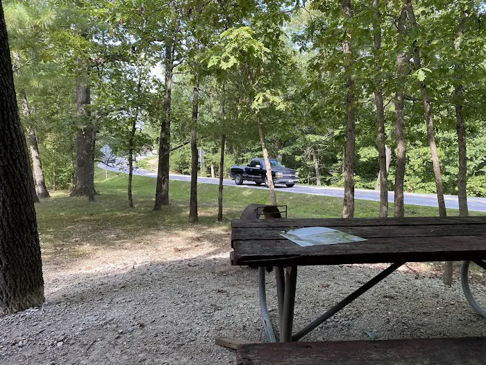 Silver Dollar City Campground Picture 10