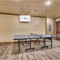 Million Dollar View ico