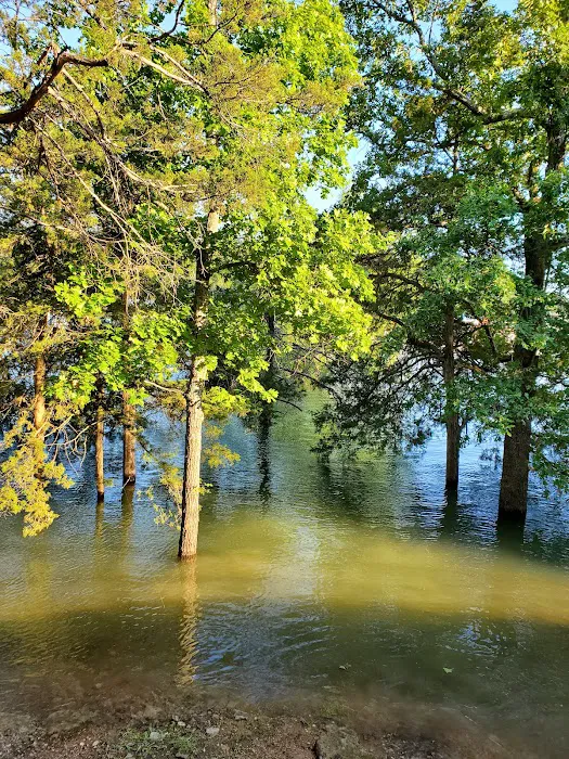 Indian Point Campground Picture 9