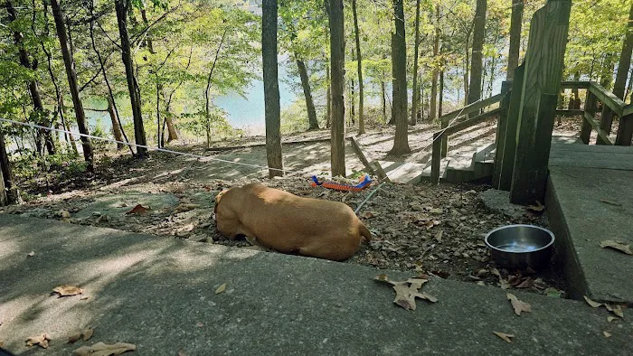 Campground #2 Picture 7