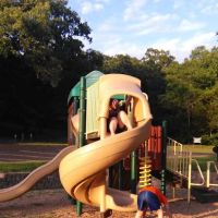 Cricket Creek Park ico