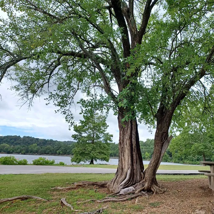 Cricket Creek Park Picture 4