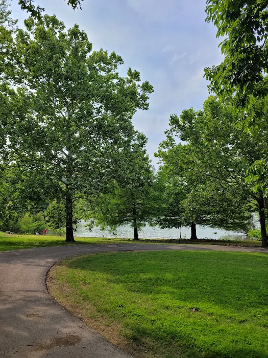 Old Highway 86 Campground Picture 8