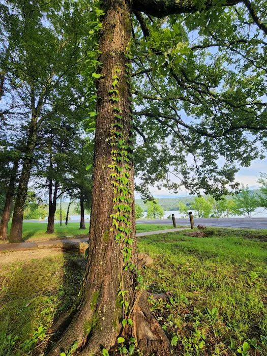 Choctaw Park Picture 8