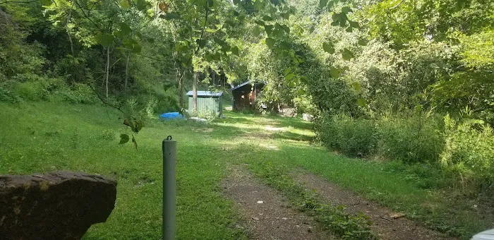 Happy Hawk Cabin Picture 7