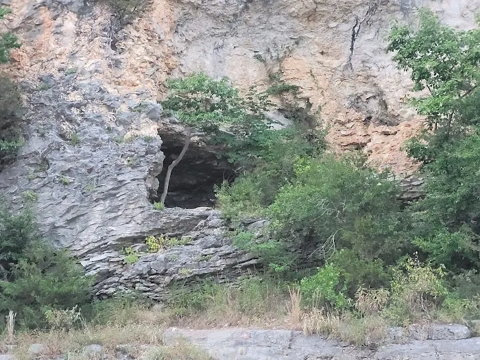 Shine Eye Campground Picture 4