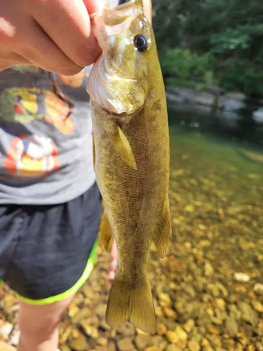 Shine Eye Campground Picture 2