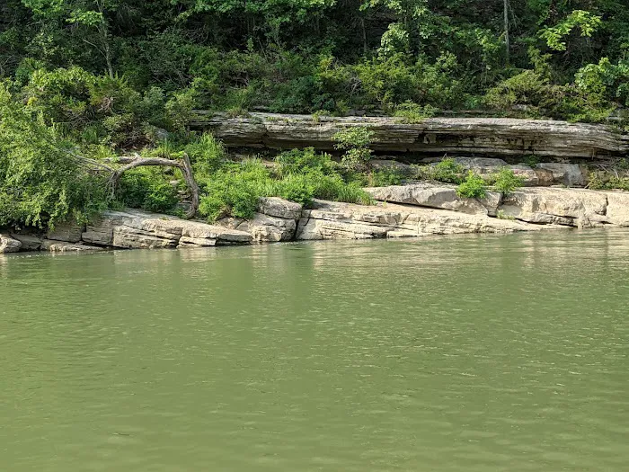 Shine Eye Campground Picture 7