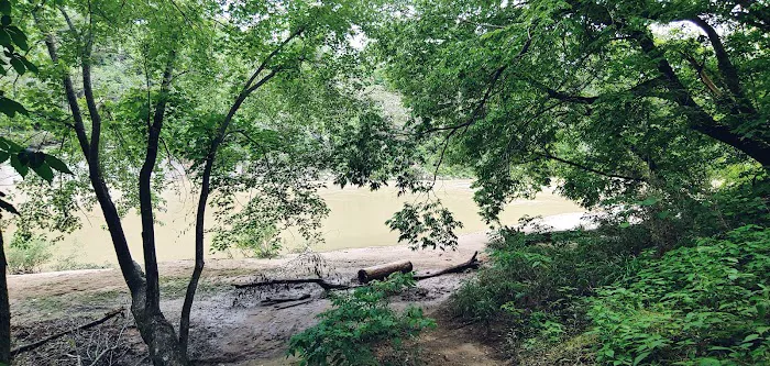 Shine Eye Campground Picture 9