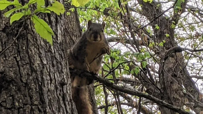 Tyler Bend Campground Picture 9