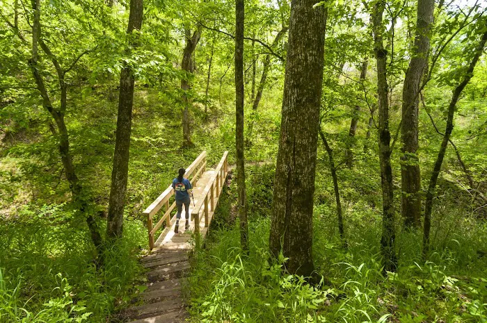 Tyler Bend Campground Picture 6