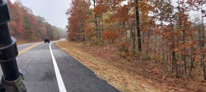 W.C.O.T.G.B. Picture 2