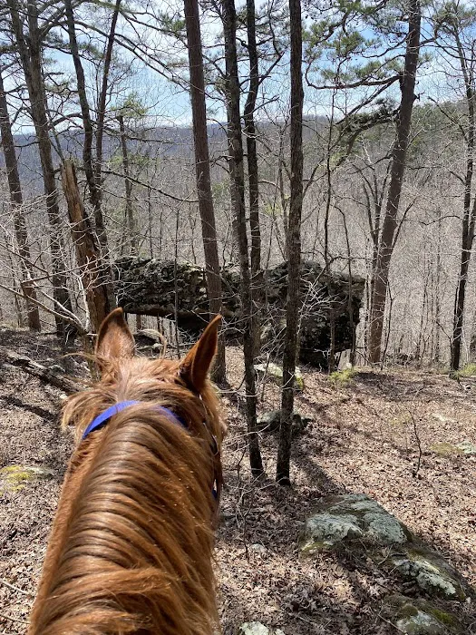 Boston Mountain Horse Camp Picture 3