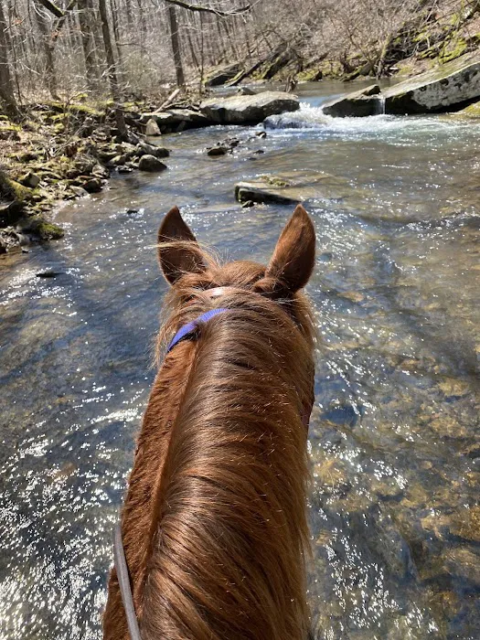 Boston Mountain Horse Camp Picture 4