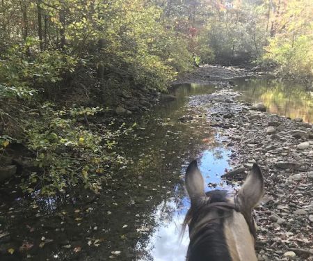 Boston Mountain Horse Camp