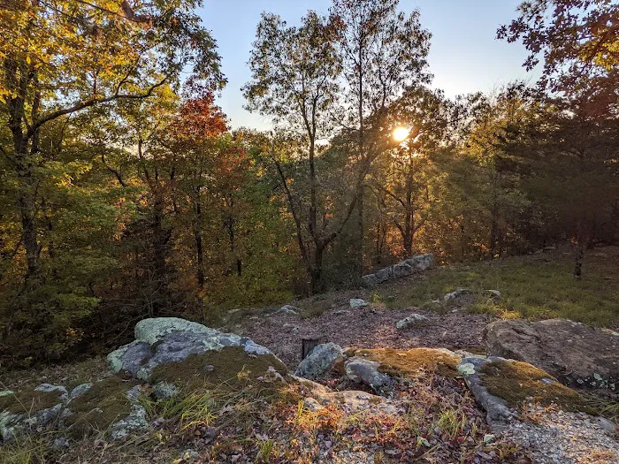 Black Bear Ridge Cabin Picture 4