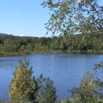 Upper Brock Creek Campground