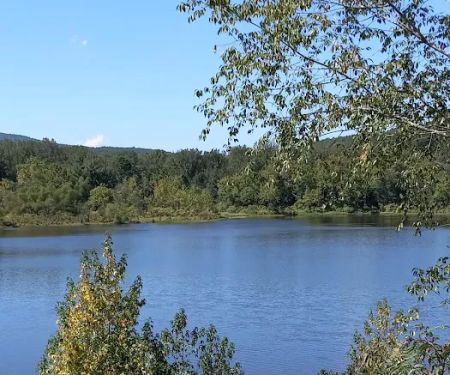 Upper Brock Creek Campground