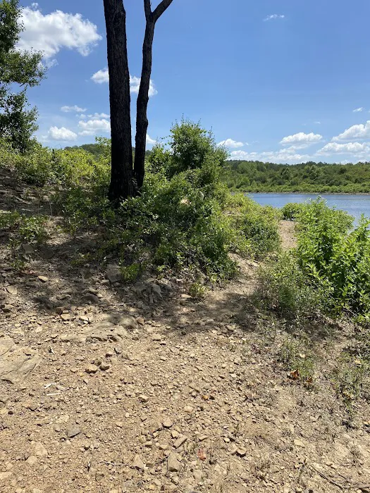 Upper Brock Creek Campground Picture 7