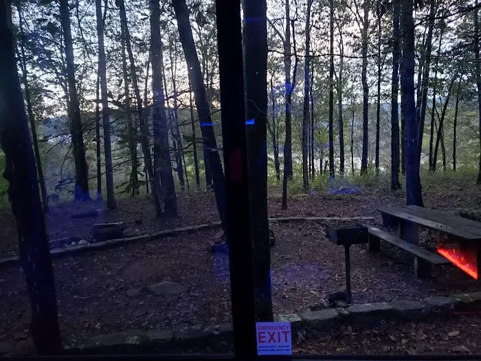 Upper Brock Creek Campground Picture 5