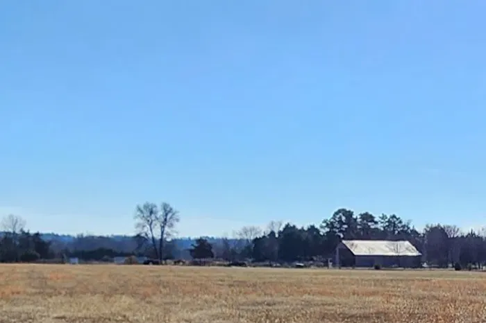 Rodgers' Family Farm Camping Picture 2