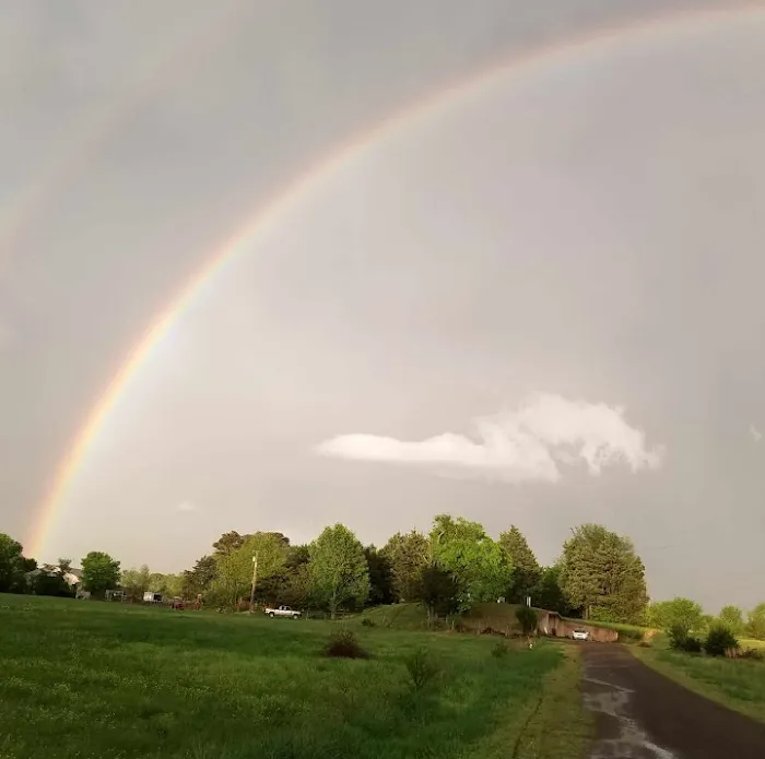 Rodgers' Family Farm Camping Picture 7