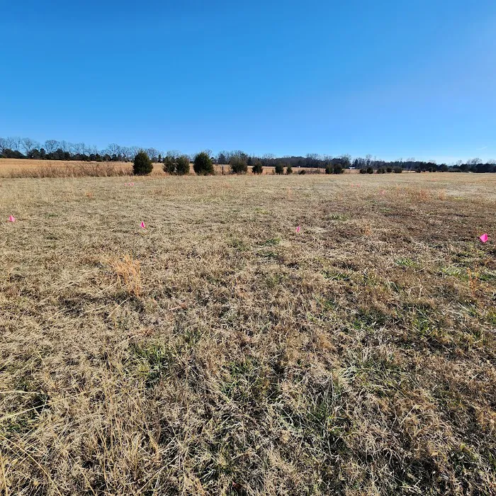 Rodgers' Family Farm Camping Picture 6