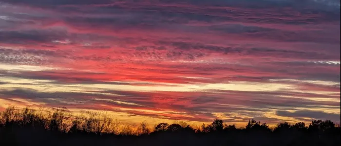 Rodgers' Family Farm Camping Picture 4